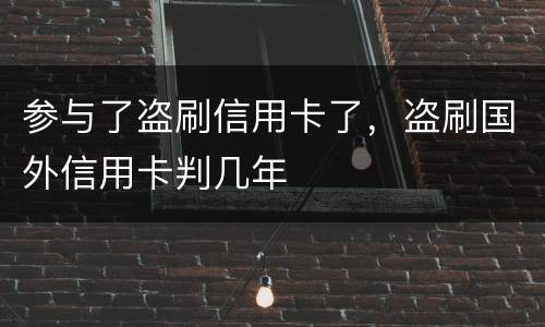 参与了盗刷信用卡了，盗刷国外信用卡判几年