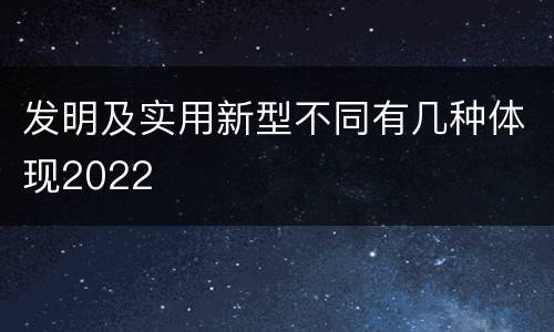 发明及实用新型不同有几种体现2022