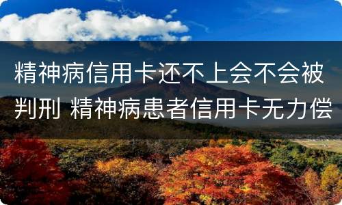 精神病信用卡还不上会不会被判刑 精神病患者信用卡无力偿还怎么办