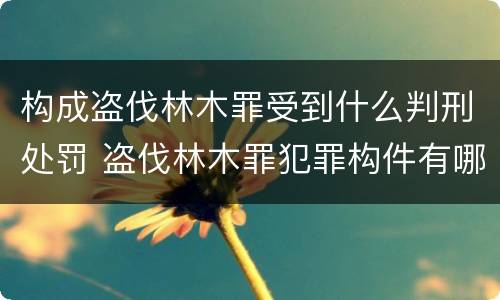 构成盗伐林木罪受到什么判刑处罚 盗伐林木罪犯罪构件有哪几个要件