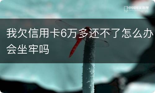 我欠信用卡6万多还不了怎么办会坐牢吗