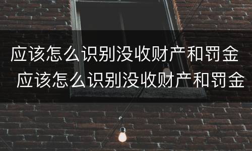 应该怎么识别没收财产和罚金 应该怎么识别没收财产和罚金的人