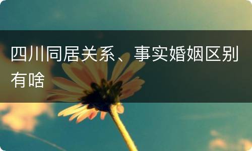 四川同居关系、事实婚姻区别有啥