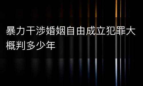 暴力干涉婚姻自由成立犯罪大概判多少年