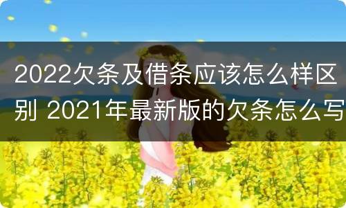 2022欠条及借条应该怎么样区别 2021年最新版的欠条怎么写