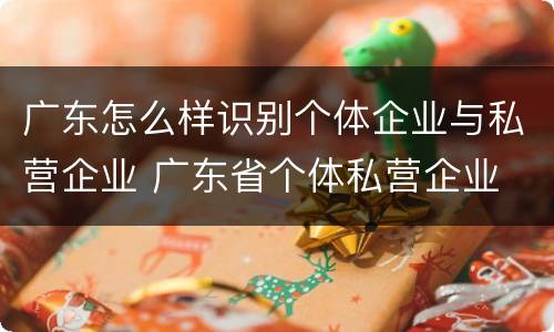 广东怎么样识别个体企业与私营企业 广东省个体私营企业