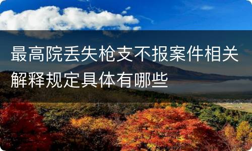 最高院丢失枪支不报案件相关解释规定具体有哪些