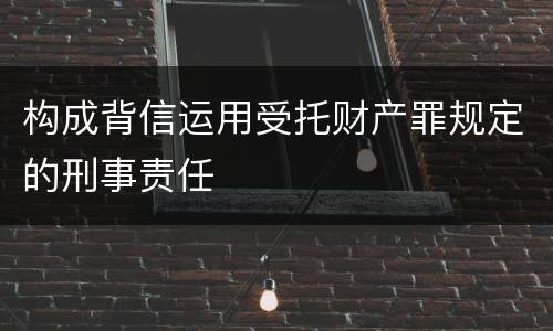 构成背信运用受托财产罪规定的刑事责任