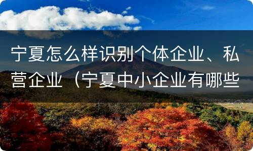 宁夏怎么样识别个体企业、私营企业（宁夏中小企业有哪些）