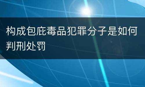 构成包庇毒品犯罪分子是如何判刑处罚