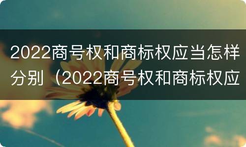 2022商号权和商标权应当怎样分别（2022商号权和商标权应当怎样分别确认）