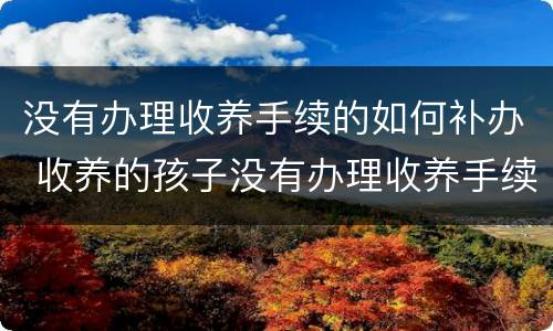 没有办理收养手续的如何补办 收养的孩子没有办理收养手续怎么办