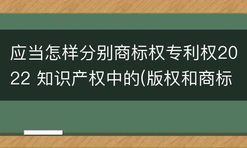 应当怎样分别商标权专利权2022 知识产权中的(版权和商标权与标准