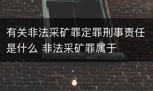 有关非法采矿罪定罪刑事责任是什么 非法采矿罪属于