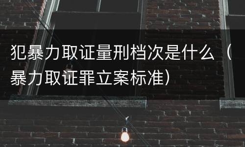 犯暴力取证量刑档次是什么（暴力取证罪立案标准）