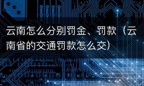 云南怎么分别罚金、罚款（云南省的交通罚款怎么交）