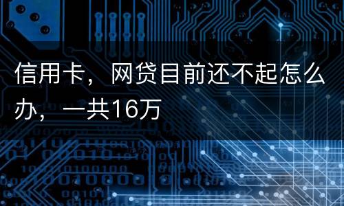 信用卡，网贷目前还不起怎么办，一共16万