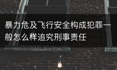 暴力危及飞行安全构成犯罪一般怎么样追究刑事责任