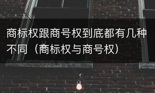 商标权跟商号权到底都有几种不同（商标权与商号权）