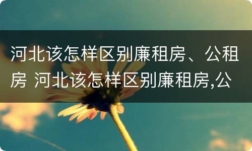 河北该怎样区别廉租房、公租房 河北该怎样区别廉租房,公租房和民宅