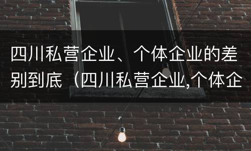 四川私营企业、个体企业的差别到底（四川私营企业,个体企业的差别到底有多大）