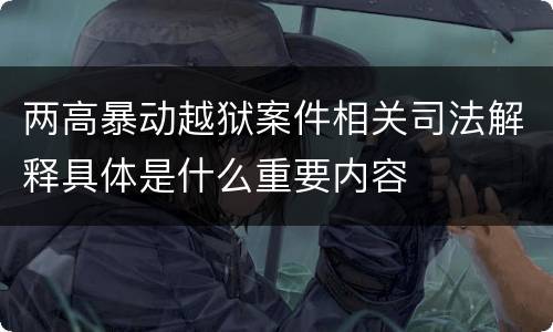 两高暴动越狱案件相关司法解释具体是什么重要内容