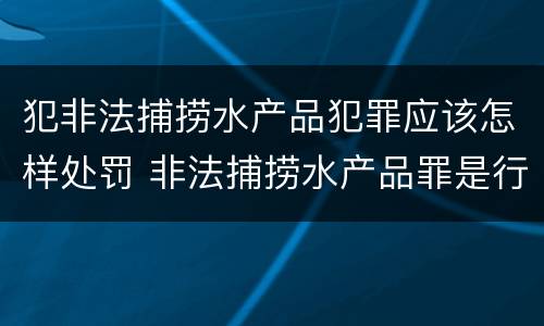 犯非法捕捞水产品犯罪应该怎样处罚 非法捕捞水产品罪是行为犯吗