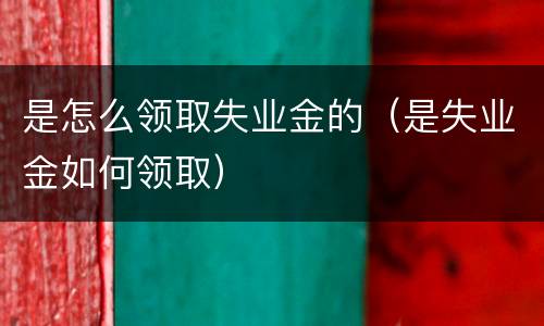 是怎么领取失业金的（是失业金如何领取）