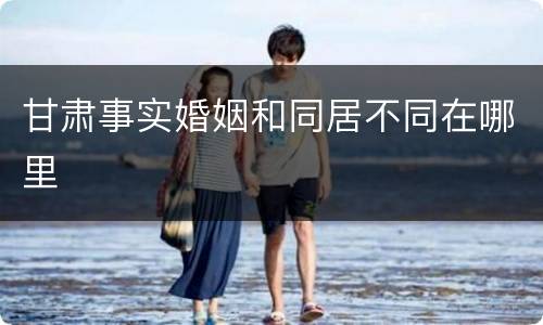 甘肃事实婚姻和同居不同在哪里