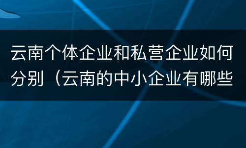 云南个体企业和私营企业如何分别（云南的中小企业有哪些）