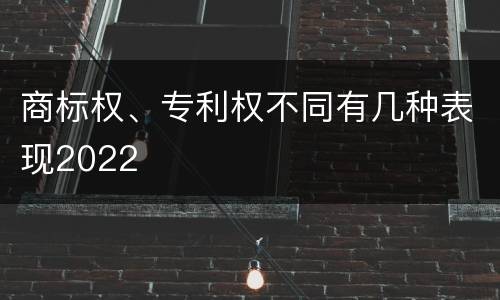 商标权、专利权不同有几种表现2022