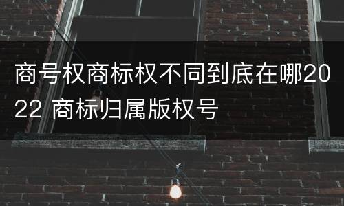 商号权商标权不同到底在哪2022 商标归属版权号