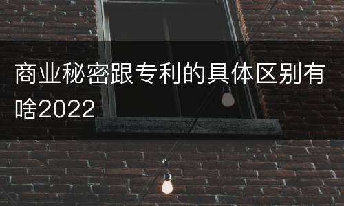 商业秘密跟专利的具体区别有啥2022