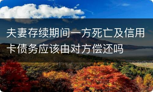 夫妻存续期间一方死亡及信用卡债务应该由对方偿还吗