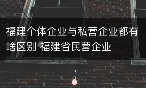 福建个体企业与私营企业都有啥区别 福建省民营企业