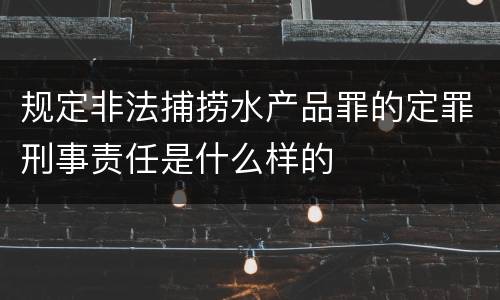 规定非法捕捞水产品罪的定罪刑事责任是什么样的