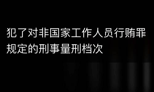 犯了对非国家工作人员行贿罪规定的刑事量刑档次