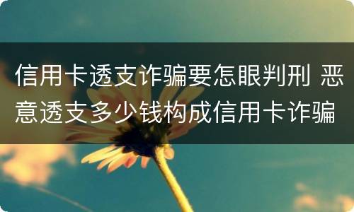 信用卡透支诈骗要怎眼判刑 恶意透支多少钱构成信用卡诈骗罪