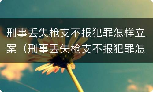 刑事丢失枪支不报犯罪怎样立案（刑事丢失枪支不报犯罪怎样立案的）