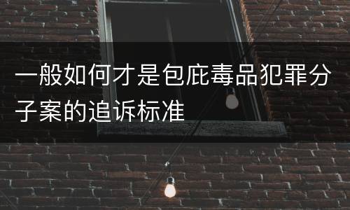 一般如何才是包庇毒品犯罪分子案的追诉标准