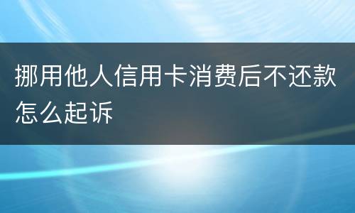 挪用他人信用卡消费后不还款怎么起诉