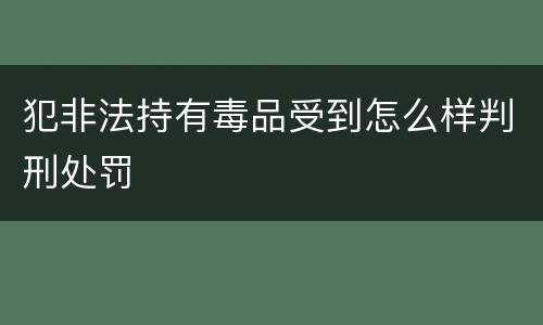 犯非法持有毒品受到怎么样判刑处罚