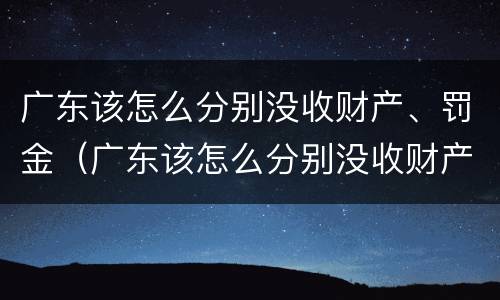 广东该怎么分别没收财产、罚金（广东该怎么分别没收财产,罚金呢）