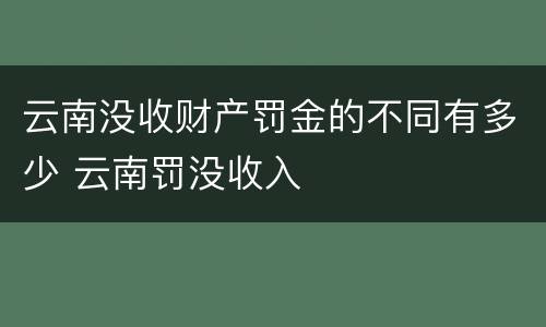 云南没收财产罚金的不同有多少 云南罚没收入