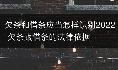 欠条和借条应当怎样识别2022 欠条跟借条的法律依据