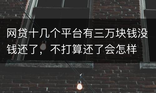 网贷十几个平台有三万块钱没钱还了，不打算还了会怎样