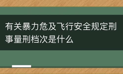 有关暴力危及飞行安全规定刑事量刑档次是什么