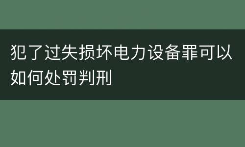 犯了过失损坏电力设备罪可以如何处罚判刑