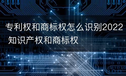 专利权和商标权怎么识别2022 知识产权和商标权