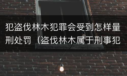 犯盗伐林木犯罪会受到怎样量刑处罚（盗伐林木属于刑事犯罪吗）